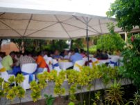 Evento de comidas tipicas de Nicaragua (3)